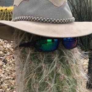 Meet your Posher, Larry